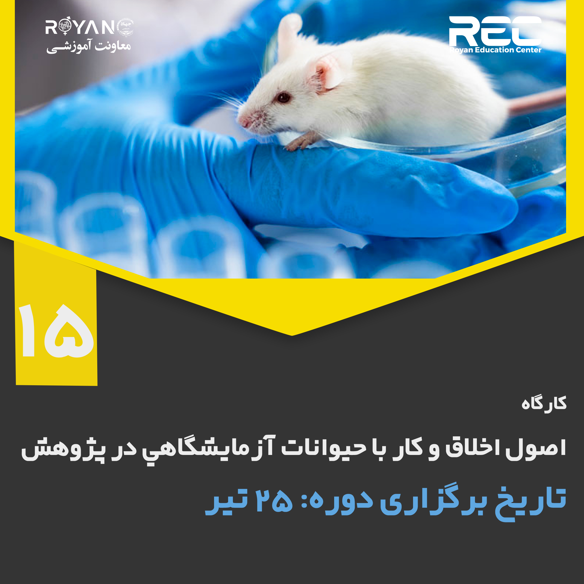 نام دوره