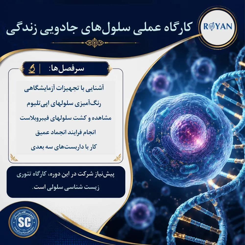 نام دوره