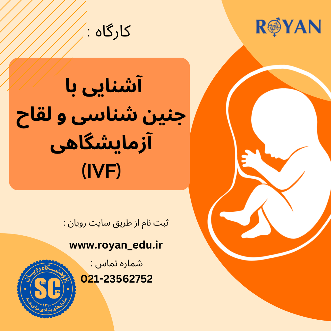 کارگاه جنین شناسی و لقاح آزمایشگاهی ( مدرسه هدی - آذر 04)