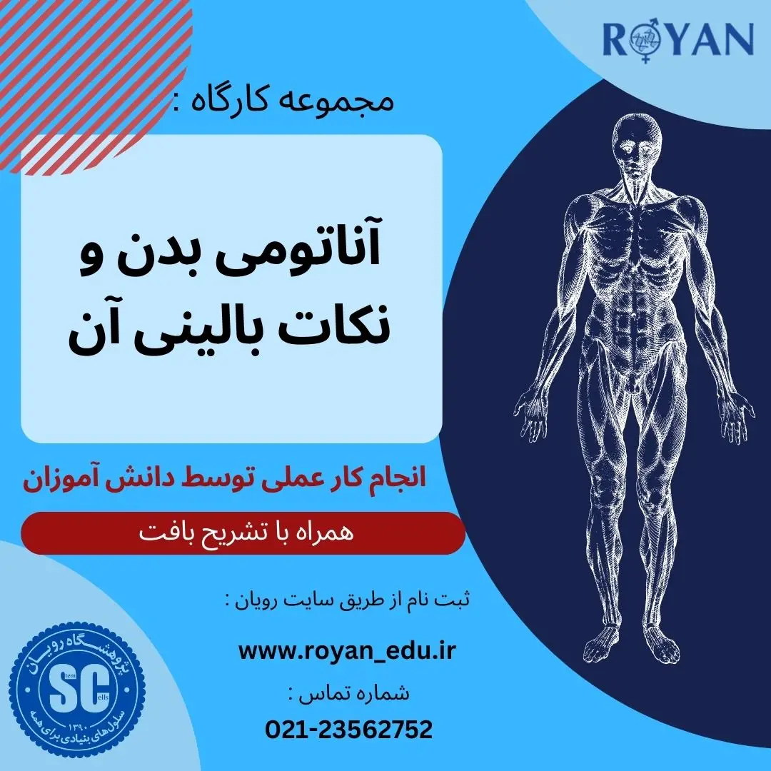 مجموعه کارگاه آناتومی و علوم تشریح همراه با نکات بالینی
