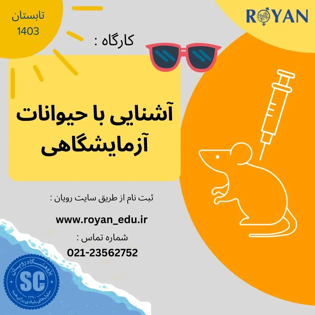 نام دوره