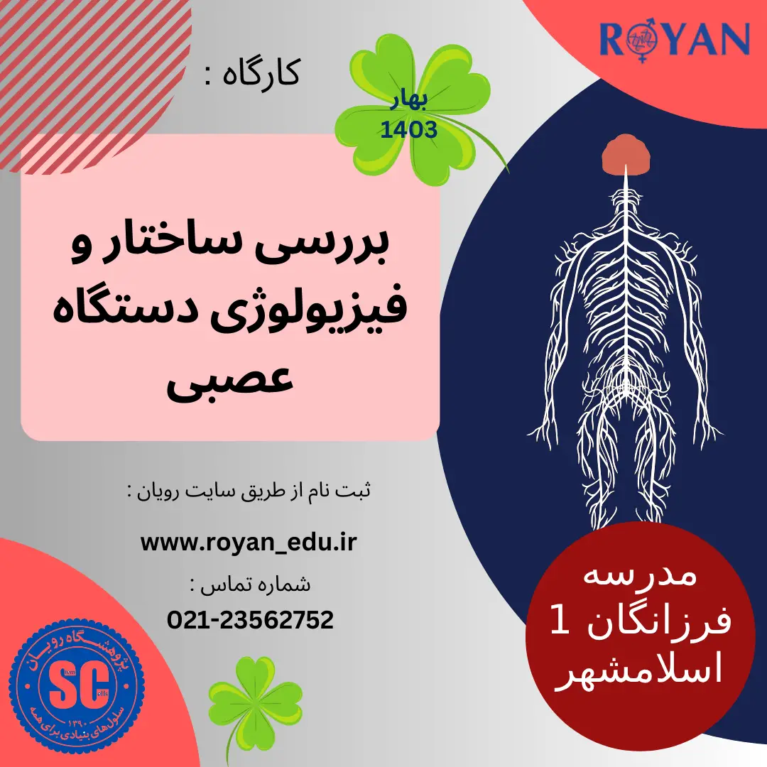 نام دوره