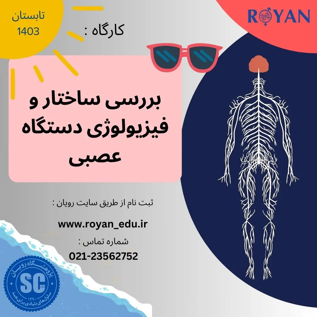 نام دوره