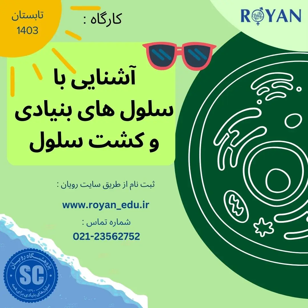نام دوره