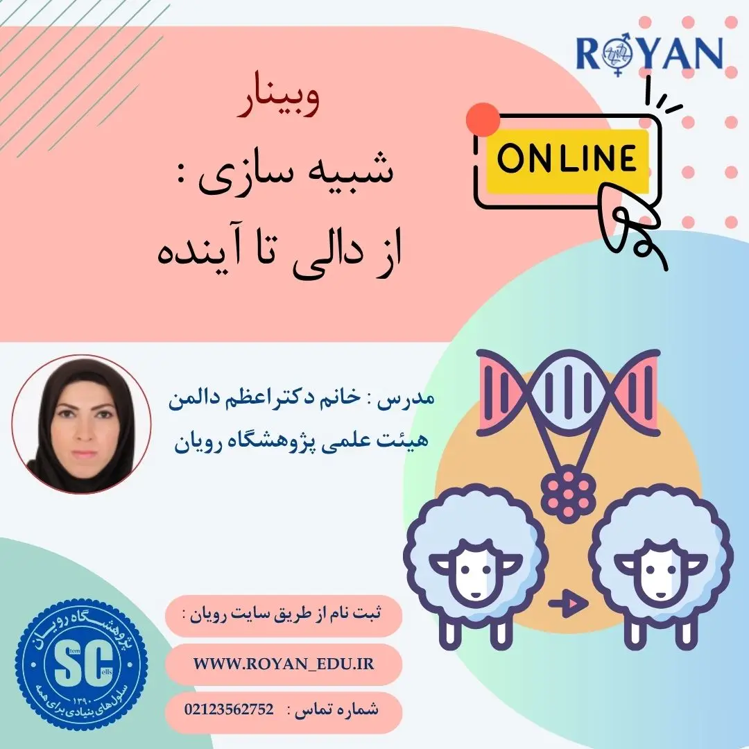 مجموعه وبینار - شبیه سازی : از دالی تا آینده
