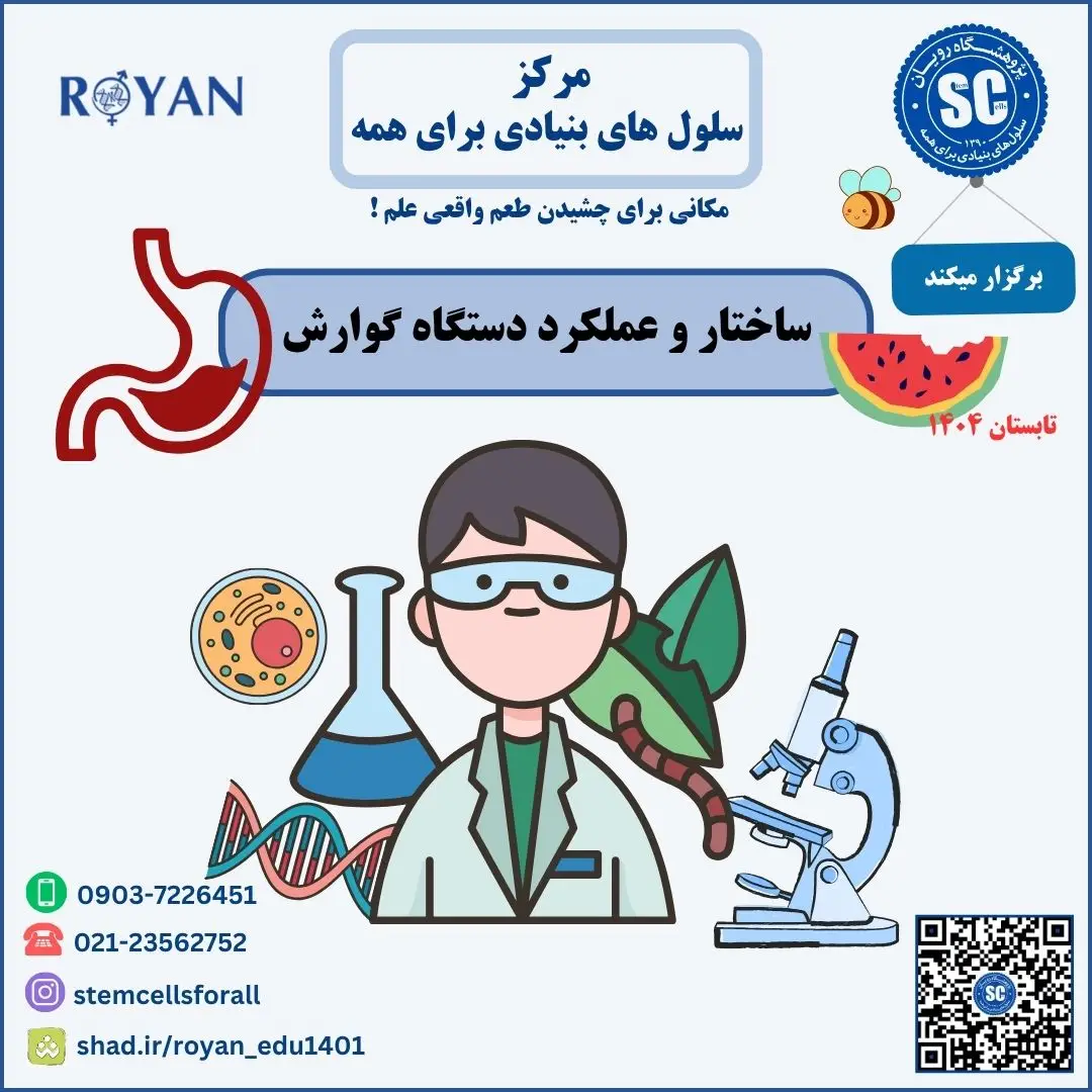 نام دوره