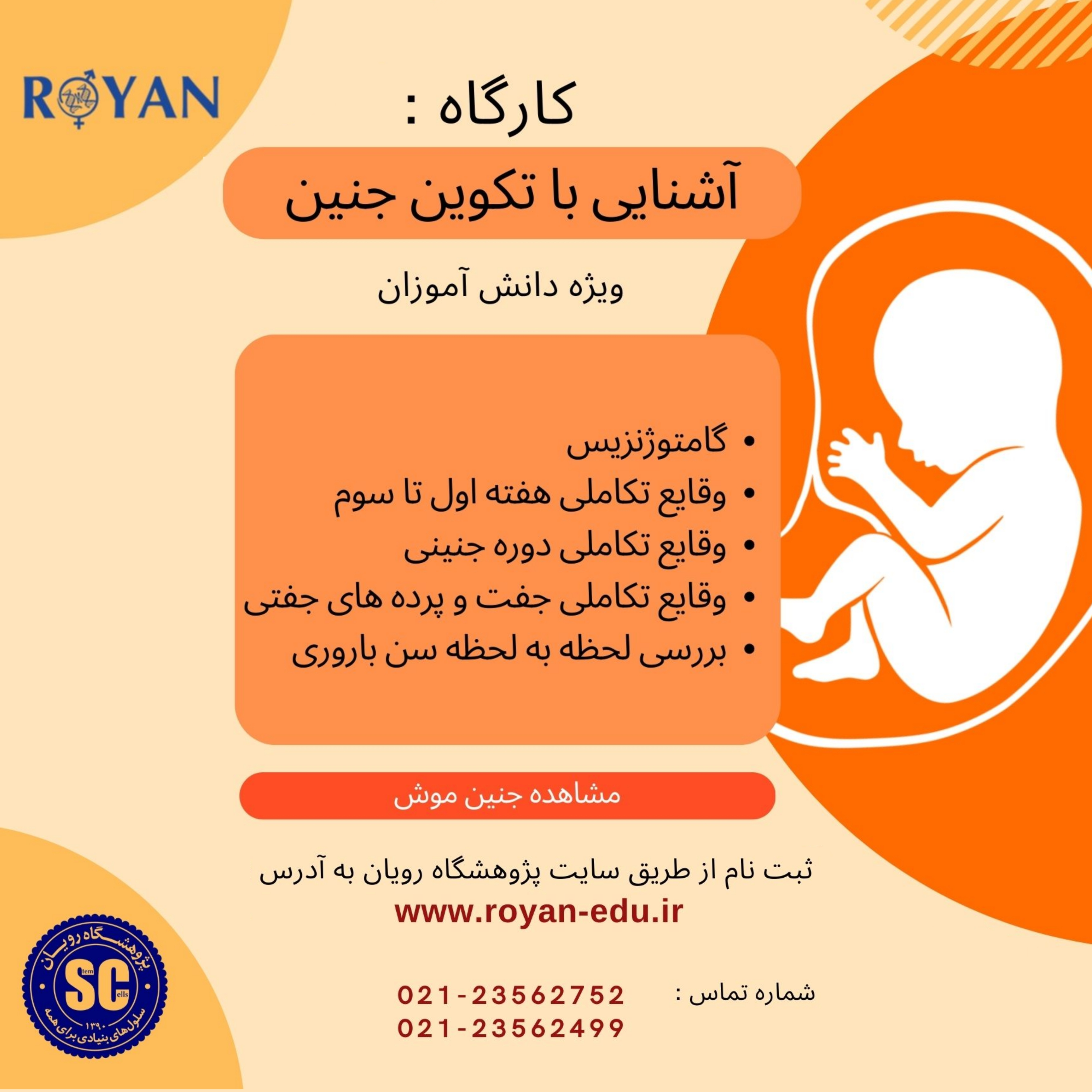 آشنایی با تکوین جنین