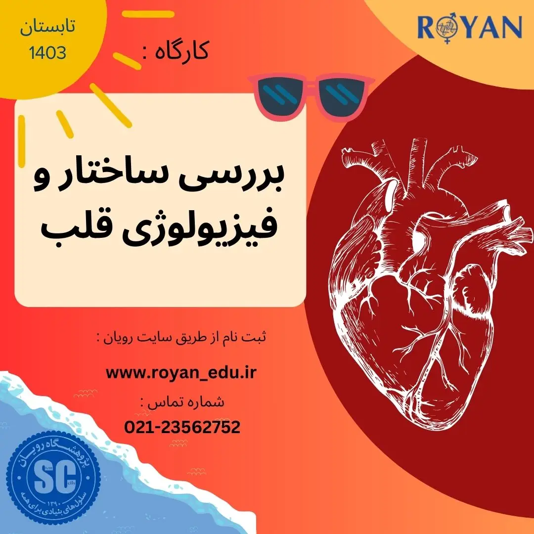 نام دوره