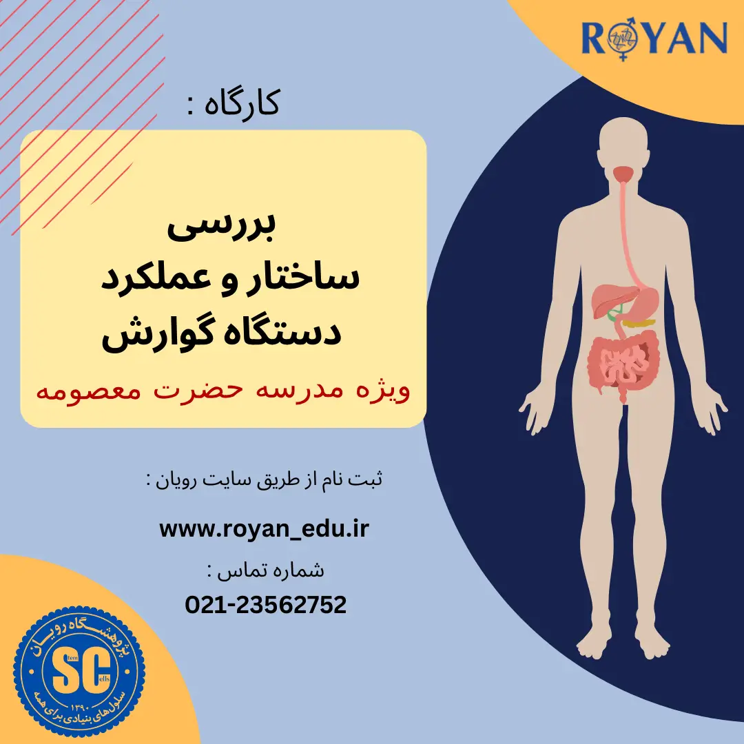 نام دوره