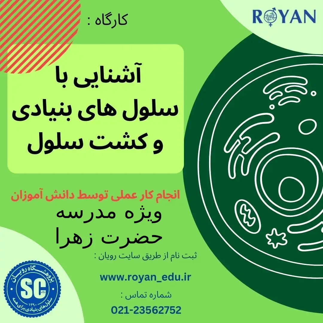 نام دوره