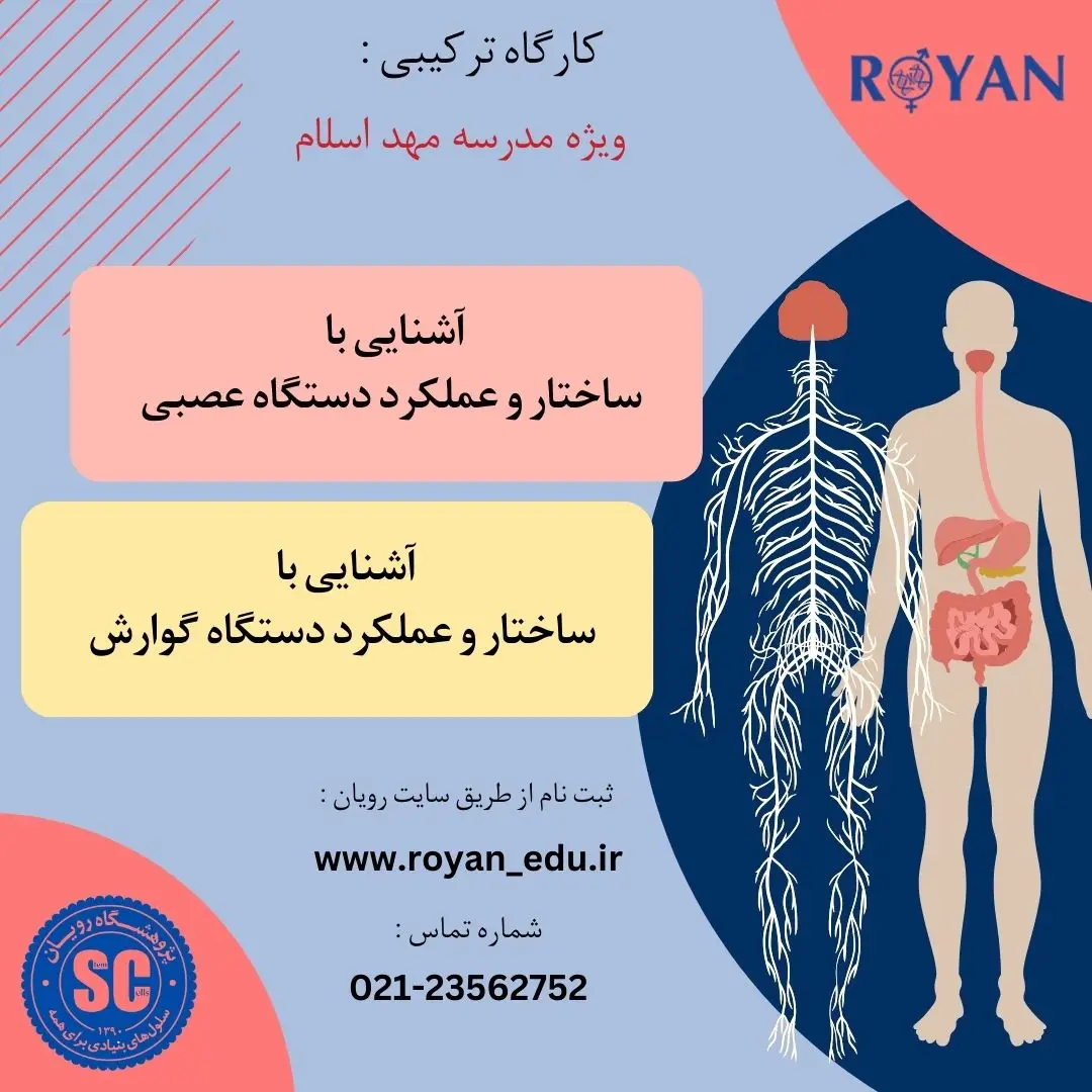 نام دوره