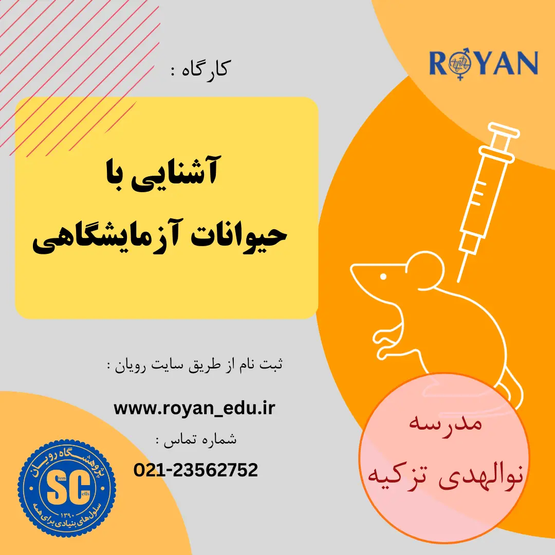 نام دوره