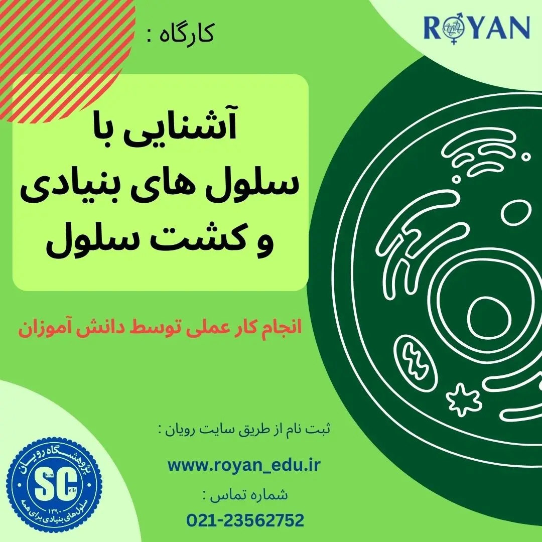 کارگاه آشنایی با سلول های بنیادی و کشت سلول ( مدرسه ابوذر غفاری )