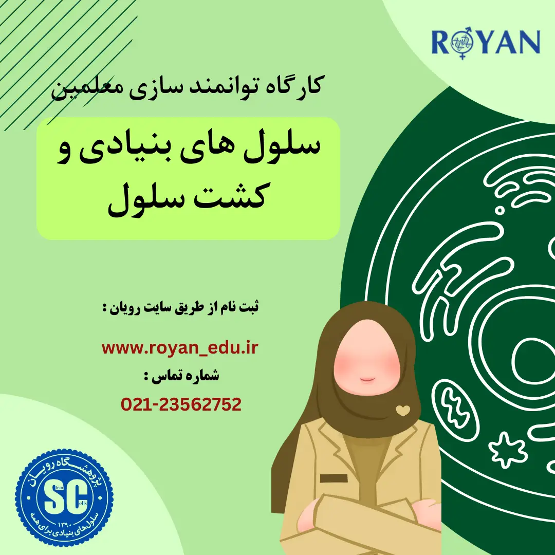 کارگاه توانمند سازی معلمین پژوهشسرا منطقه 4          