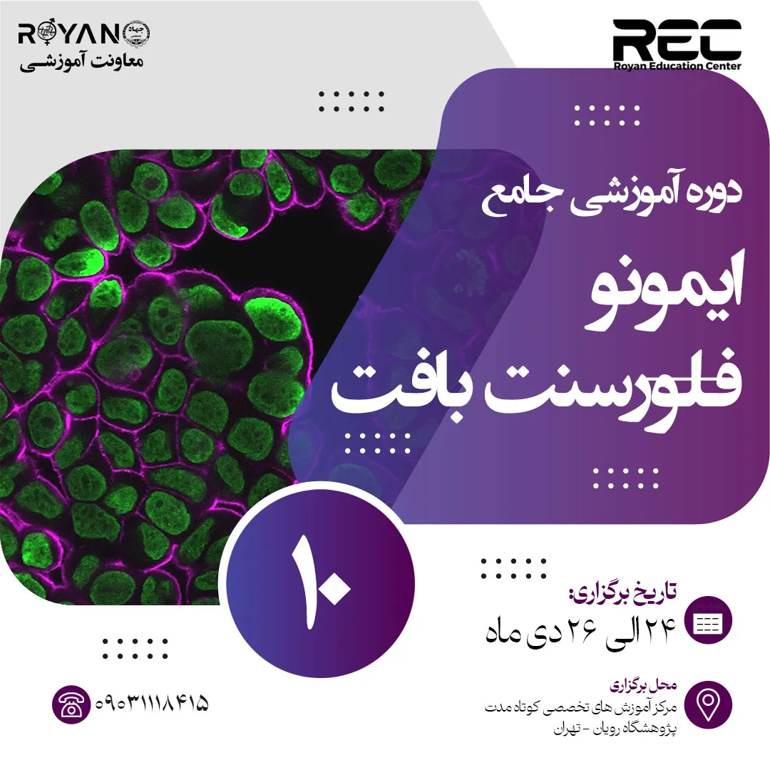 ایمونوفلورسنت بافت جامع 10