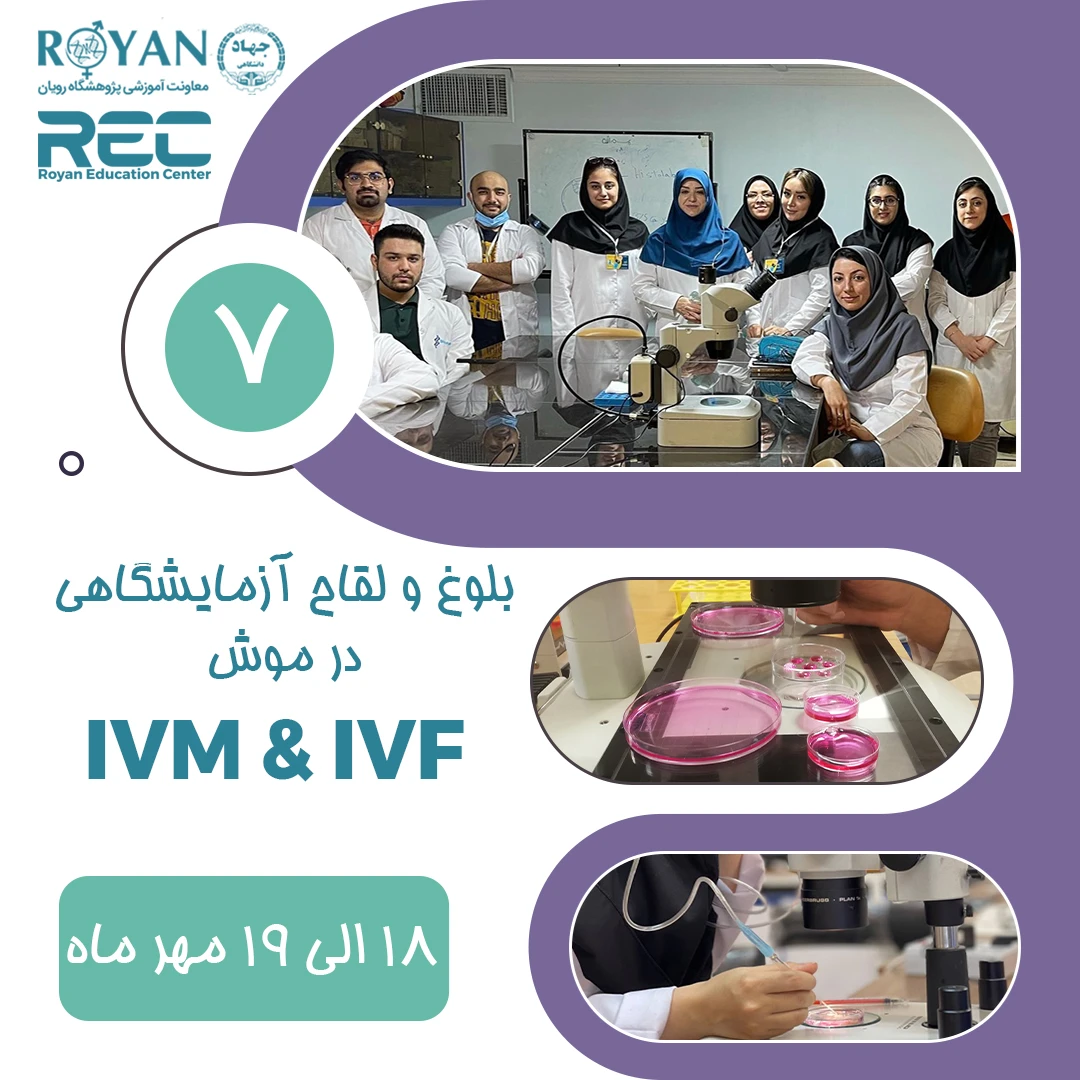 IVM & IVF بلوغ و لقاح آزمایشگاهی تخمک