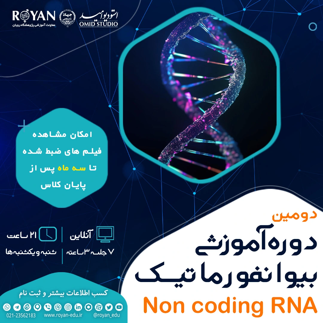 Non Coding RNA 2