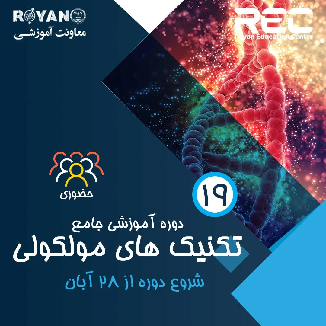 تکنیک های مولکولی جامع 19