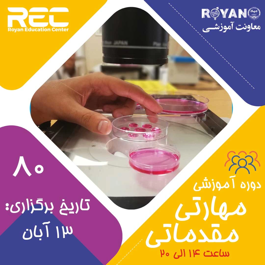 مقدماتی 80