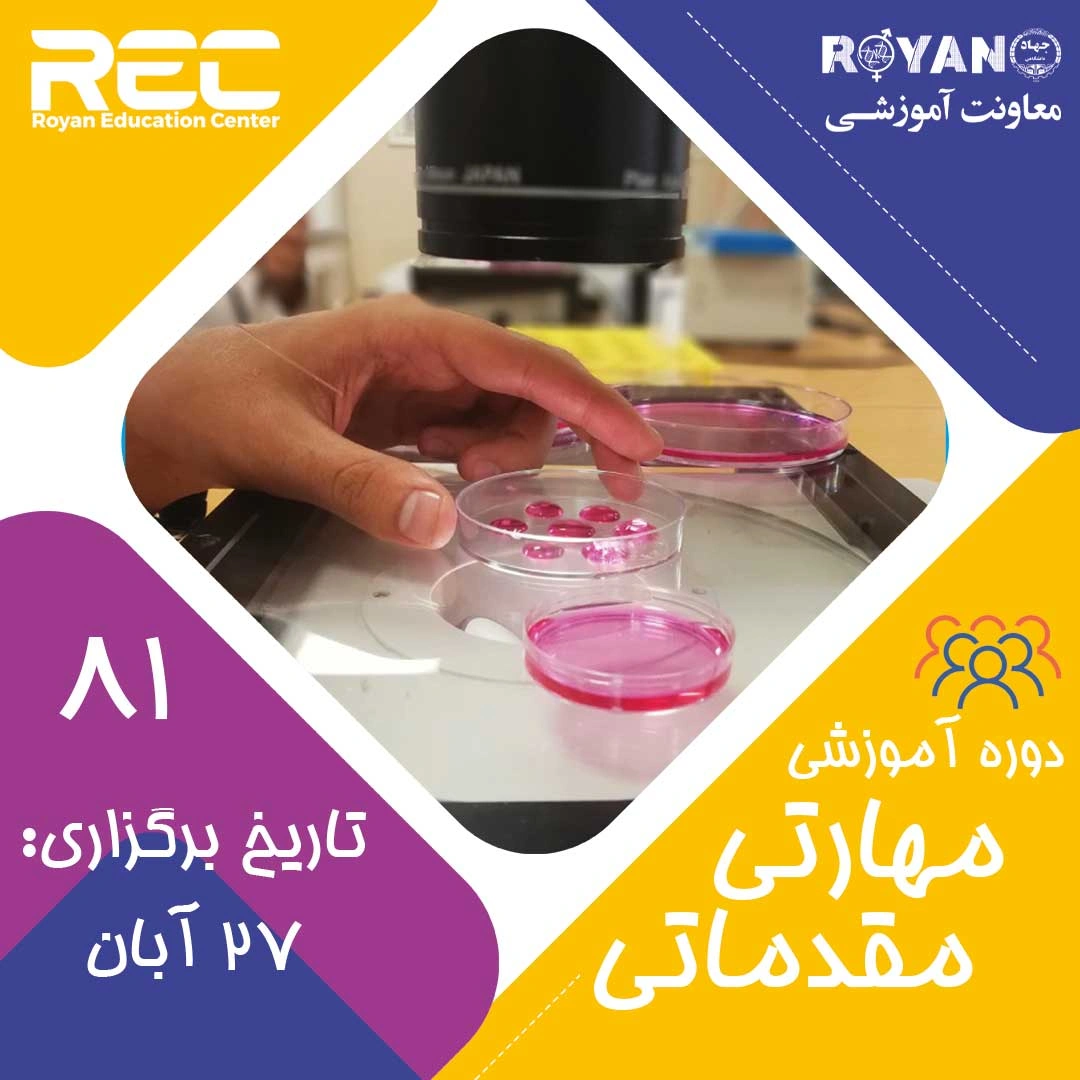 مقدماتی 81