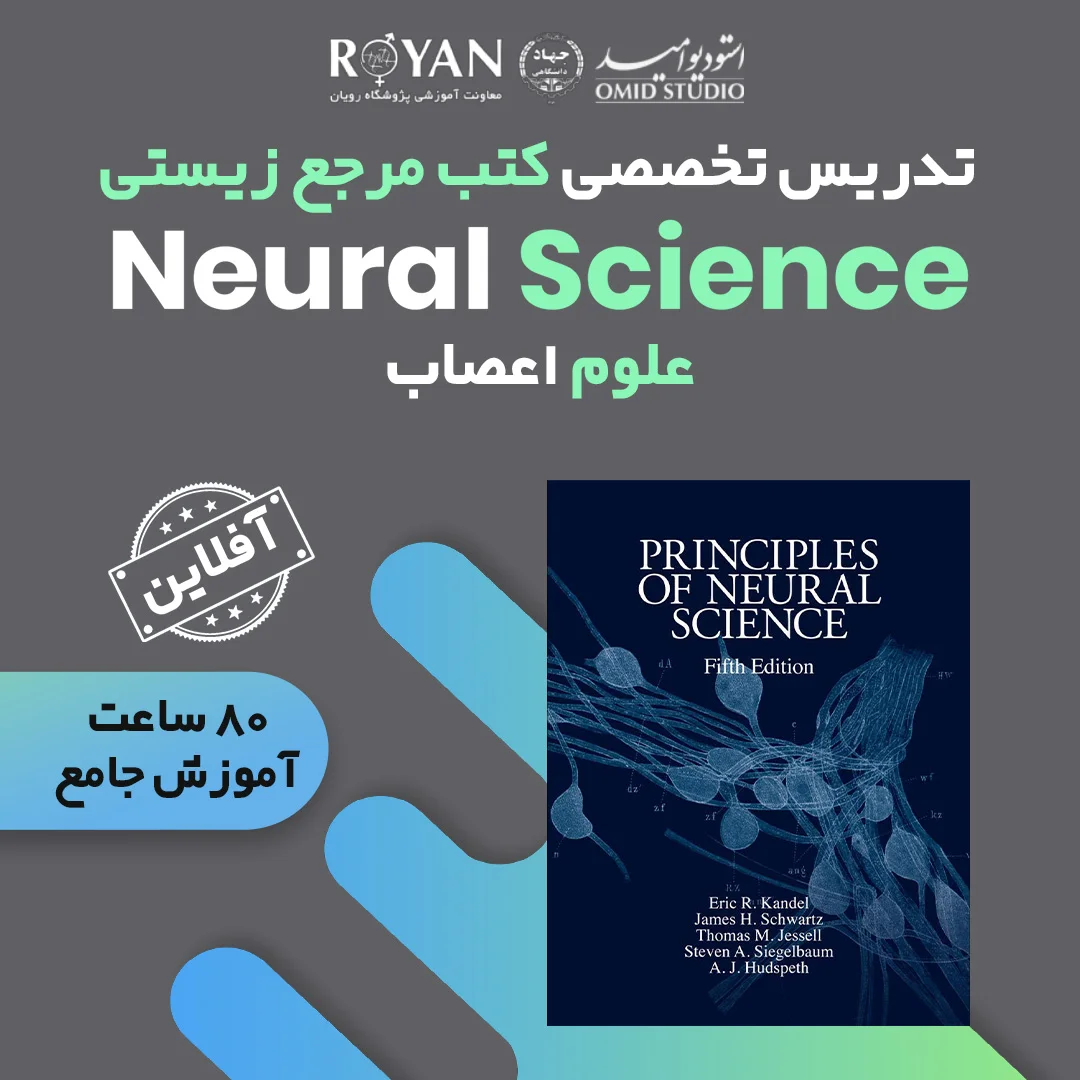 نوروساینس کندل