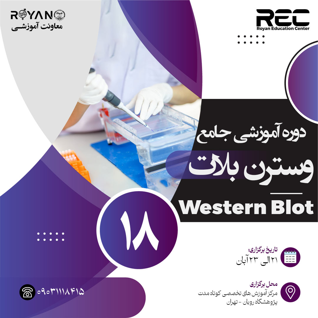 وسترن بلات جامع 18
