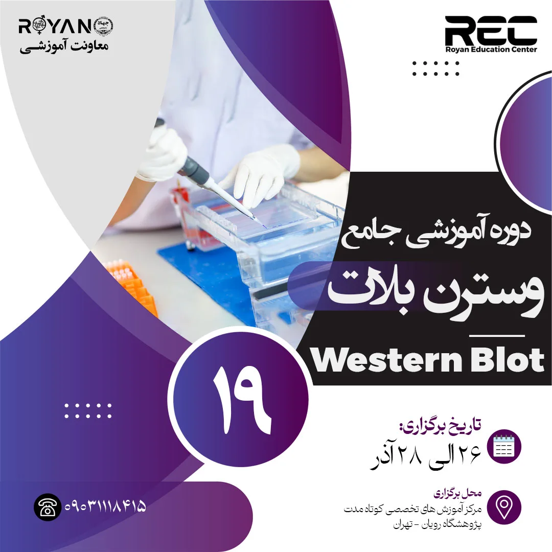 وسترن بلات جامع 19