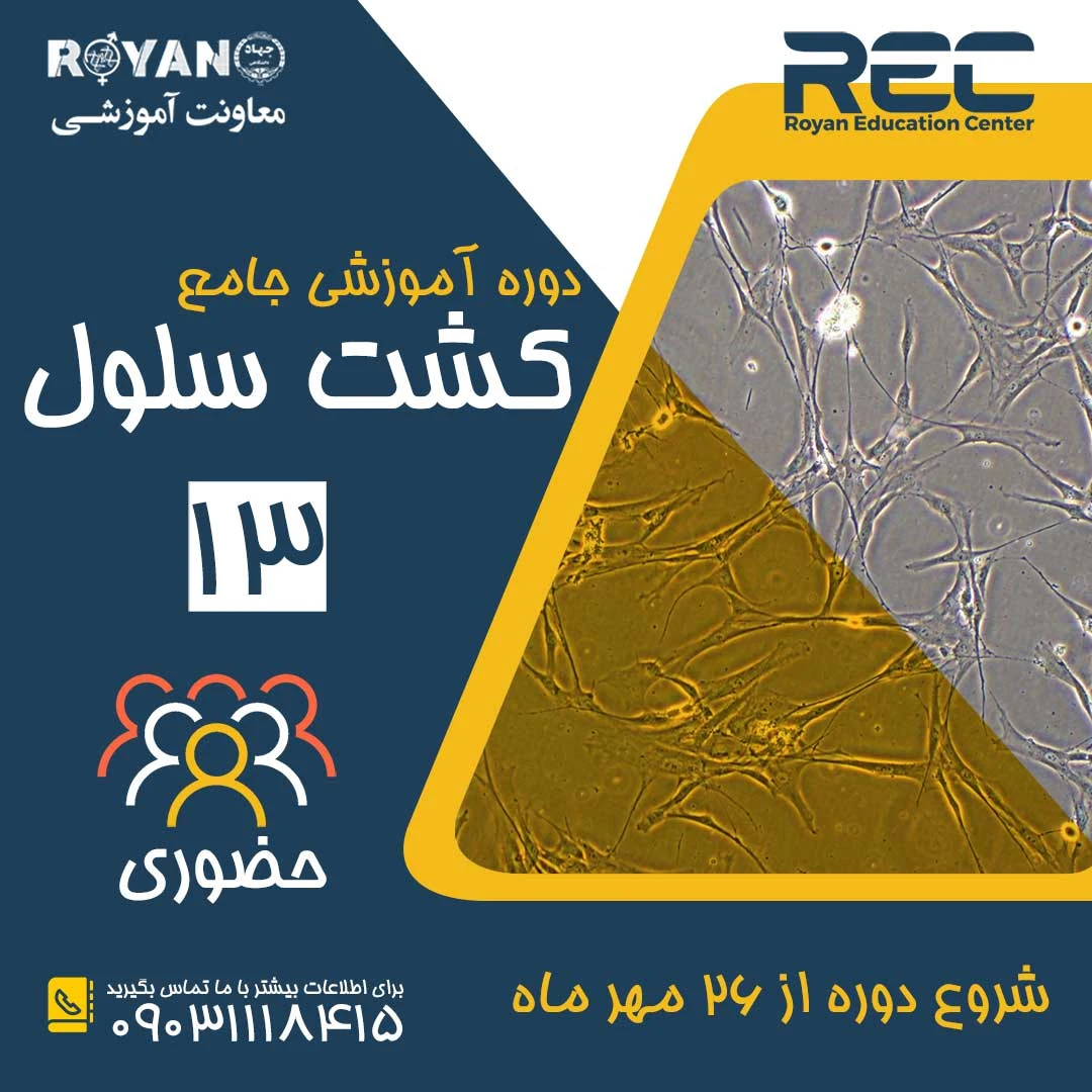 کشت سلول جامع 13